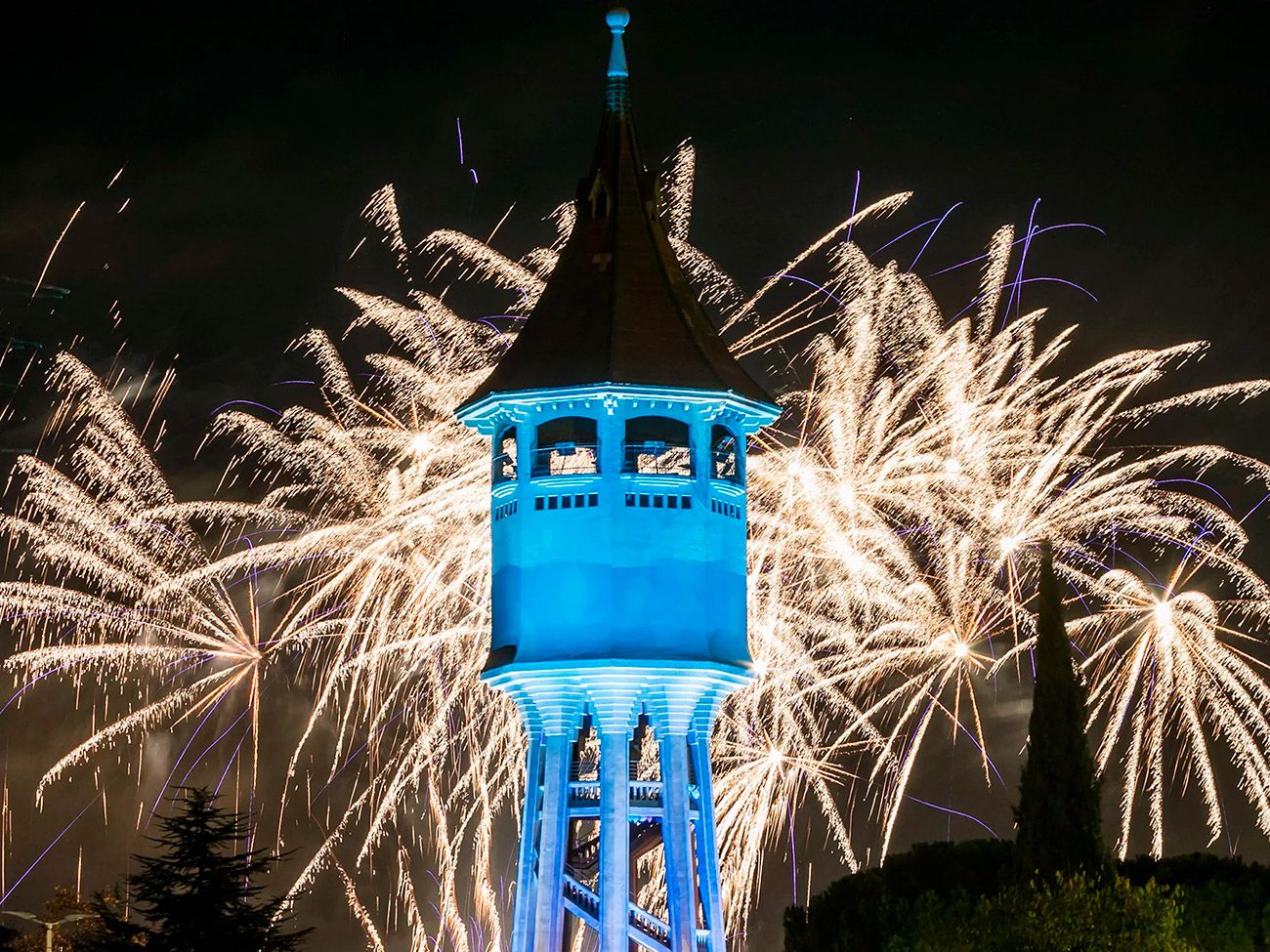 Organización de evento institucional - centenario de la Torre del Agua de Sabadell