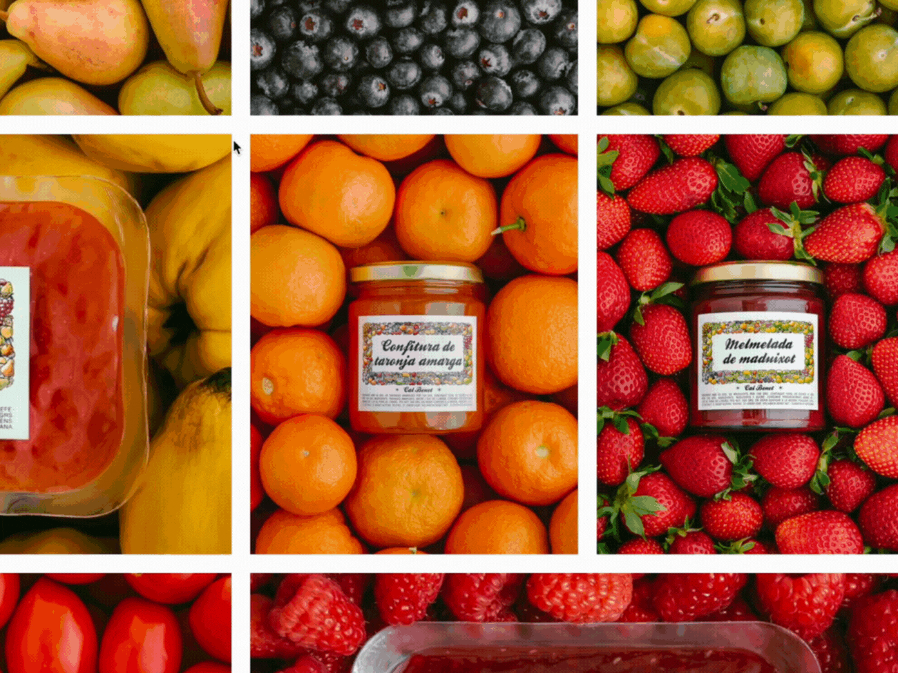 Diseño web para empresa de alimentación